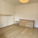 Rent 2 bedroom apartment in Capital City of Prague