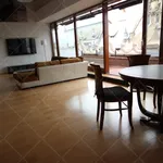 Rent 2 bedroom apartment of 164 m² in Budapest