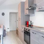 Rent 1 bedroom apartment of 55 m² in turin