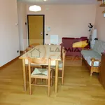 Rent a room of 110 m² in Legnaro