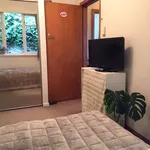 Rent 4 bedroom house in Wellington