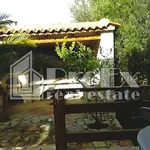 Rent 2 bedroom house of 20 m² in Municipal Unit of Farres