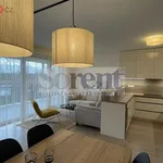 Rent 4 bedroom apartment of 103 m² in Hluboká nad Vltavou