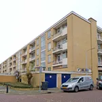 Huurwoningen/appartementen