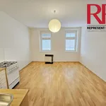 Rent 1 bedroom apartment of 35 m² in Plzeň