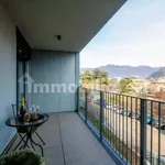 Rent 2 bedroom apartment of 45 m² in Como