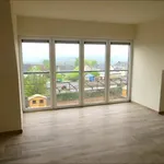 Rent 1 bedroom apartment in Onhaye