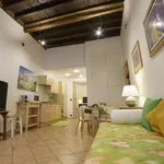 Rent 1 bedroom apartment in rome