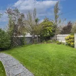 Rent 1 bedroom apartment in Christchurch