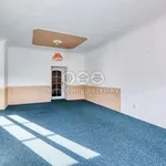 Pronajměte si 3 ložnic/e byt o rozloze 112 m² v Dobřany