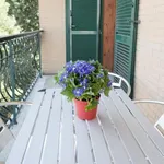 Rent 1 bedroom apartment in Rome