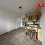 Rent 1 bedroom apartment of 29 m² in Zlín