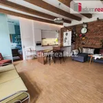 Rent 1 bedroom apartment of 50 m² in Capital City of Prague