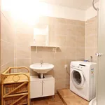 Rent 1 bedroom apartment of 42 m² in Brno