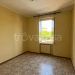 Rent 3 bedroom apartment of 88 m² in Roma