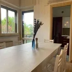 Rent 3 bedroom apartment of 91 m² in Perugia