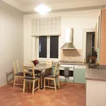 Rent 1 bedroom apartment in Prague