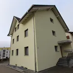 Rent 4 bedroom apartment of 110 m² in  Schweiz