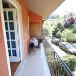 Rent 4 bedroom apartment of 80 m² in Lucca