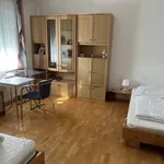 Rent 1 bedroom house in Haag