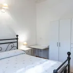 Rent 1 bedroom apartment of 45 m² in rome