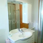 Rent 2 bedroom apartment of 40 m² in Udine