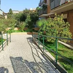 Rent 1 bedroom apartment of 25 m² in Roma