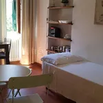 Rent 1 bedroom apartment of 28 m² in Pontedera