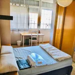 Rent a room in madrid