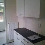 Rent 2 bedroom house of 104 m² in Houten