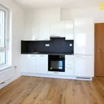 Rent 2 bedroom apartment of 49 m² in České Budějovice