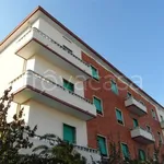 Rent 3 bedroom apartment of 80 m² in San Benedetto del Tronto