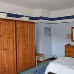 Rent a room in dublin