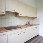 Huur 2 slaapkamer appartement van 70 m² in Amstenrade