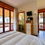 Rent 2 bedroom apartment of 45 m² in Bologna