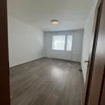 Rent 3 bedroom apartment in Plzeň