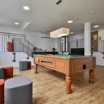 Rent 1 bedroom apartment in Brighton