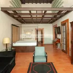 Rent 5 bedroom apartment of 354 m² in Florence