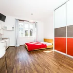 Rent 1 bedroom apartment of 35 m² in Praha 7 - Holešovice