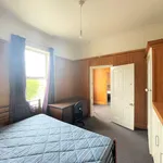 Rent 3 bedroom house in Dunedin