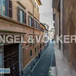 Rent 4 bedroom apartment of 155 m² in Rome