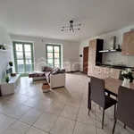 Rent 3 bedroom apartment of 82 m² in Nichelino