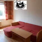 Rent 2 bedroom apartment of 45 m² in Příbram