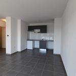 Appartement de 45 m² avec 1 chambre(s) en location à colomiers