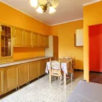 Rent 2 bedroom apartment of 55 m² in Turin