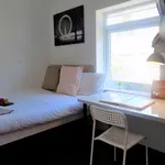 Rent a room in West Midlands