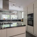 Rent 6 bedroom house of 207 m² in Rotterdam