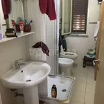 Rent 2 bedroom apartment of 50 m² in Montauro