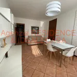 Rent 1 bedroom apartment of 50 m² in Padova