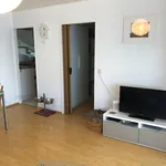 Rent 2 bedroom apartment of 49 m² in Mörfelden-Walldorf